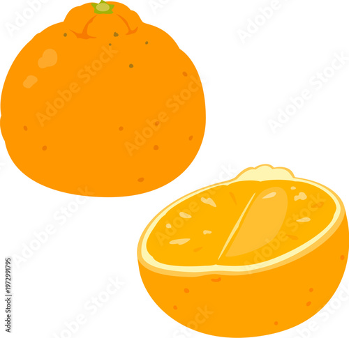 デコポンと縦に切ったデコポン