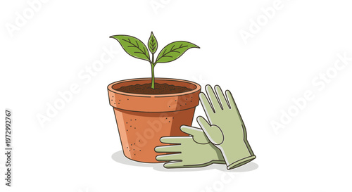 Hands holding a small potted plant.