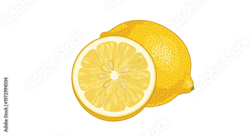 Realistic illustration of a whole yellow lemon and a cross section slice showing the seeds and juicy pulp on a white background.