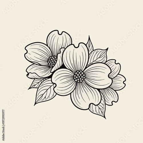 Hand-drawn black line art illustration of dogwood flowers with leaves on a neutral cream background, featuring detailed petal textures and botanical elements for design projects.