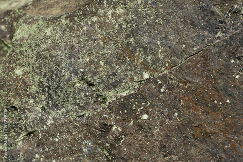 Close-up of a weathered rock surface covered with green lichen and featuring a prominent diagonal crack.