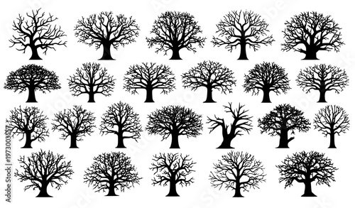 Leafless dead tree silhouette collection with detailed creepy branches for Halloween forest vector illustration
