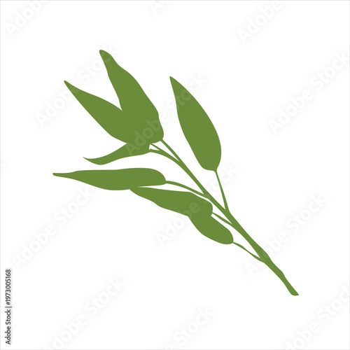 healthy water spinach