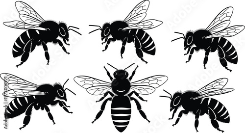 Bee silhouette vector set, black and white insect icons, detailed winged bee illustrations for nature design, entomology graphics, pollinator branding