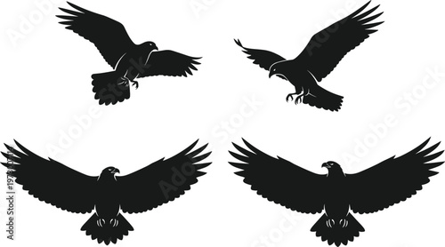 Bird of prey silhouette set, flying and landing poses, black vector illustration, eagle and hawk icons, wildlife theme, minimal graphic style