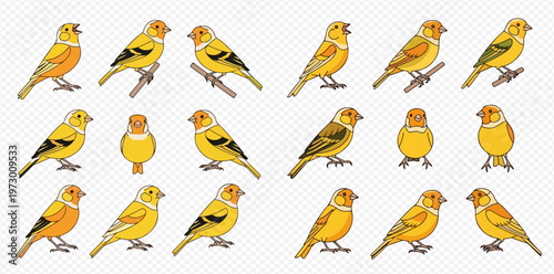 Set of cartoon canaries in various poses, yellow birds with black outlines, isolated on a transparent background.