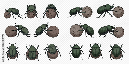 Dung beetle set with various poses, pushing and carrying a dung ball, isolated on transparent background.