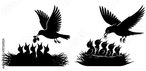 Nest silhouette vector, Silhouettes of mother bird feeding hungry chicks in a nest isolated on white background,