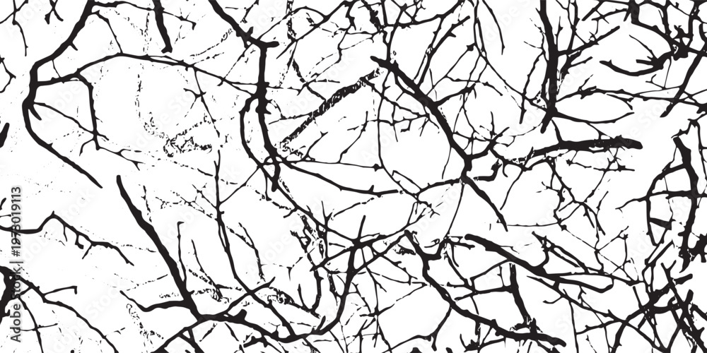 Obraz premium Intricate Network of Bare Tree Branches Against White Background.