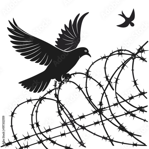 Symbolic peace dove flying over barbed wire, black and white bird silhouette vector, concept of freedom and hope in conflict zones