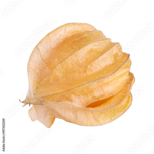 Cape gooseberry, physalis isolated on transparent background.