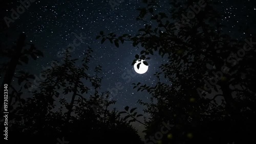 Full Moon and Starry Night Sky Through Silhouetted Tree Branches.