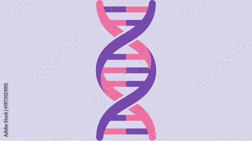 DNA Double Helix Structure Model.