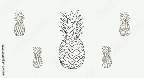 Pineapple fruit illustration with leaves.