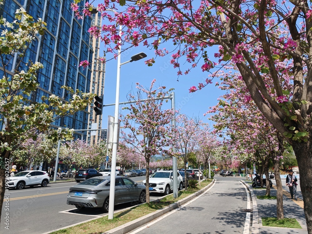 Obraz premium Spring in Bloom Along the City Streets