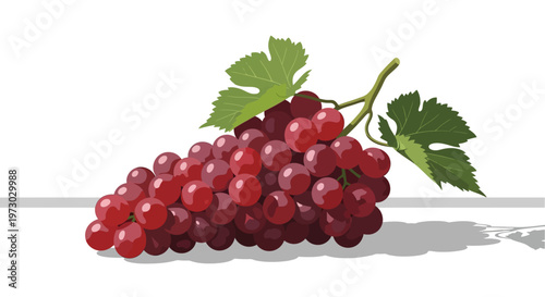 Vibrant red grape cluster with green leaves on white background.