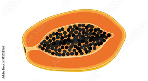 Fresh ripe papaya fruit slice with black seeds isolated on white background