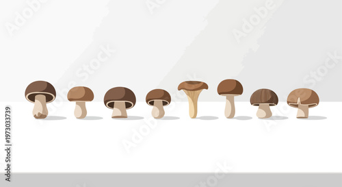 Collection of various edible mushrooms in a flat design style.