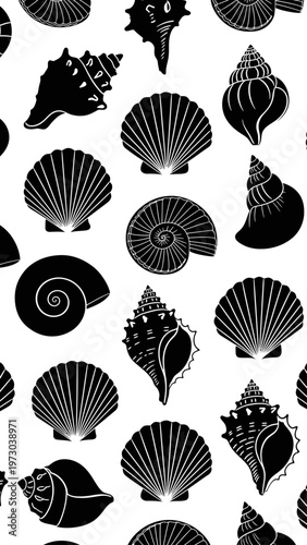Black and white seashells on display.