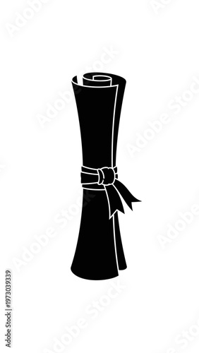 Black Martial Arts Belt with Sash.