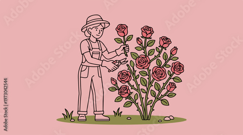 Woman Pruning Rose Bush Garden.