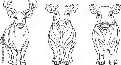 Set of funny cartoon giraffe and farm animal vector illustrations featuring a cute wild mammal and bull character in a fun drawing style