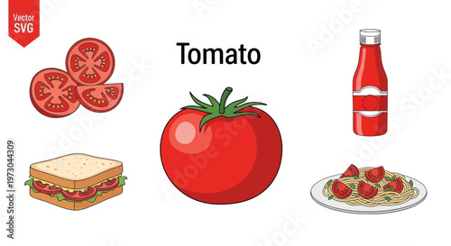Tomato: Whole fruit, slices, sandwich, ketchup bottle, and pasta with tomato