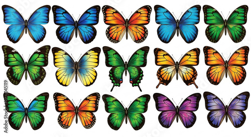 Collection of colorful butterflies in various shades and patterns on white background for design