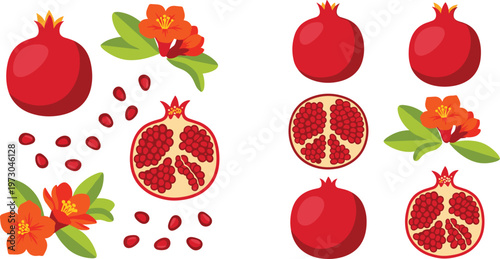 Pomegranate fruit collection with whole and sliced juicy seeds and flowers cartoon vector illustration set of fresh healthy food isolated on light background