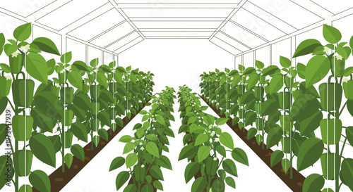 Greenhouse cultivation of pepper plants, rows of healthy vegetables growing indoors