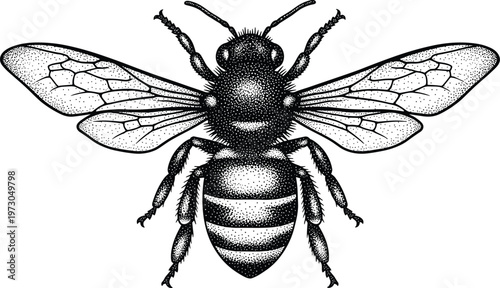 (Professional, descriptive, and stylish — highlights both the subject and the artistic technique.)