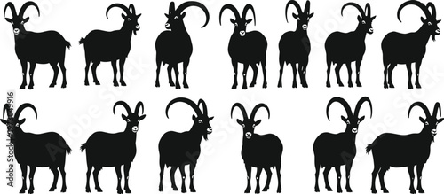 This title is clean, professional, and emphasizes both the subject (goats) and the format (vector collection).