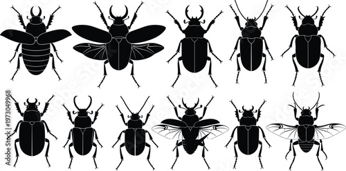 This title is clear, professional, and descriptive. It highlights the subject (“Insect Silhouettes”), specifies the types (“Beetles & Flies”), and positions it as a Collection, 