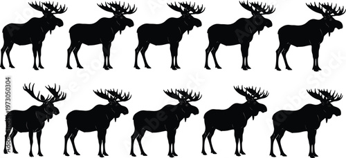 This title is clean, professional, and emphasizes both the subject (moose) and the format (vector collection).