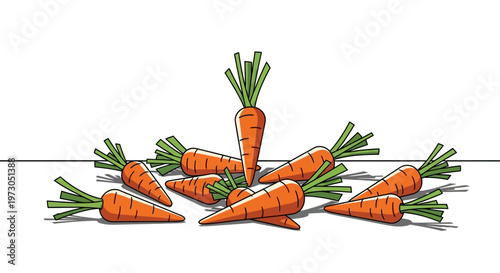 A group of fresh orange carrots piled on a white surface with a minimalist line.