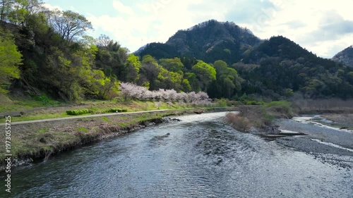 桜と川辺の風景