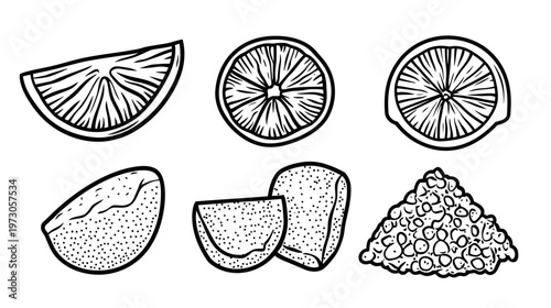Monochrome line art of fruit slices and pulp. Various cuts of a citrus fruit rendered in black and white