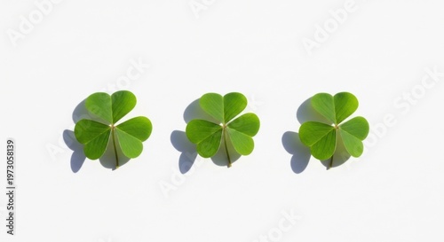 Three Green Clover Leaves in Row on White Surface