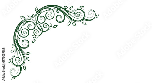 Elegant dark green leafy vine scrollwork adorns the upper left corner