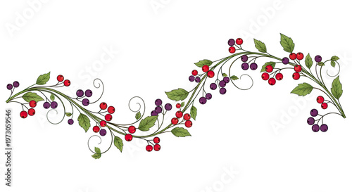 Whimsical berry and leaf vine design curves across a white background