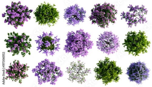 Fifteen overhead views of small flowering trees, isolated against a white backdrop, in various shades of purple, green, and pink