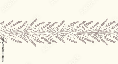 A decorative horizontal border of stylized lavender stems and buds on a pale background