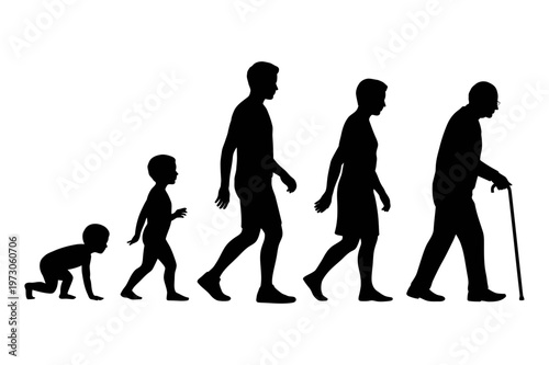 A vector graphic illustration of human evolution in silhouette