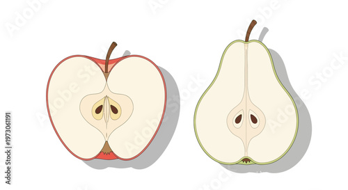 Halved apple and pear shown side by side with shadows