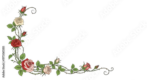 Delicate vine with multi-colored roses, buds, and thorns forming an ornate corner flourish