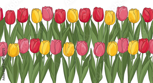 Two rows of red, pink, and yellow tulips bloom with green stems and leaves