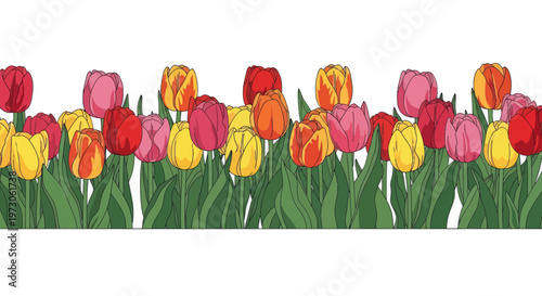 A vibrant border of blooming tulips in shades of red, yellow, and pink with green foliage