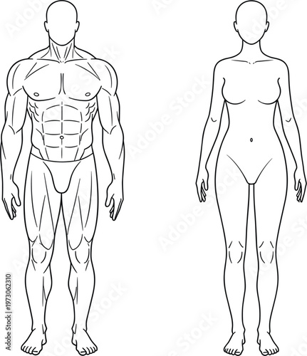 Front view full length male and female human body anatomy outline croquis vector illustration for fashion design technical drawing and fitness medical diagram template.