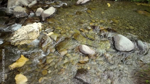 Clear Mountain Stream Over Stones