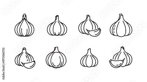 Garlic Bulbs and Cloves Outline Icons Set Food Ingredient Vector Graphics